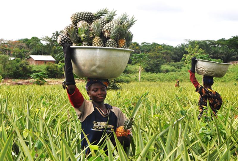 COTRA-BENIN